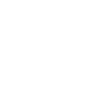 Partner Logo 2