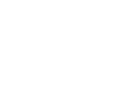Partner Logo 3
